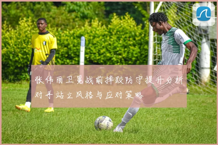 张伟丽卫冕战前摔跤防守提升分析对手站立风格与应对策略